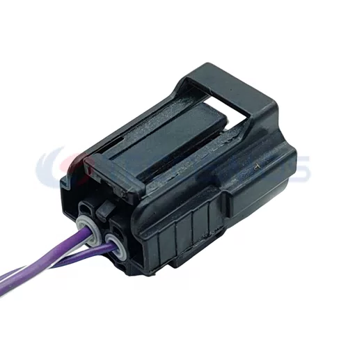 Auto Parts Waterproof Automotive Connector 2 Pin Female for Car Connector Plug 6189-0785 - image 6